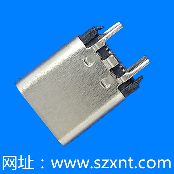 上海TYPE C 直立式母座